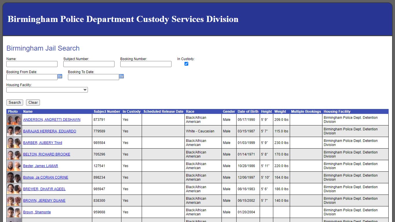 Birmingham Jail Search